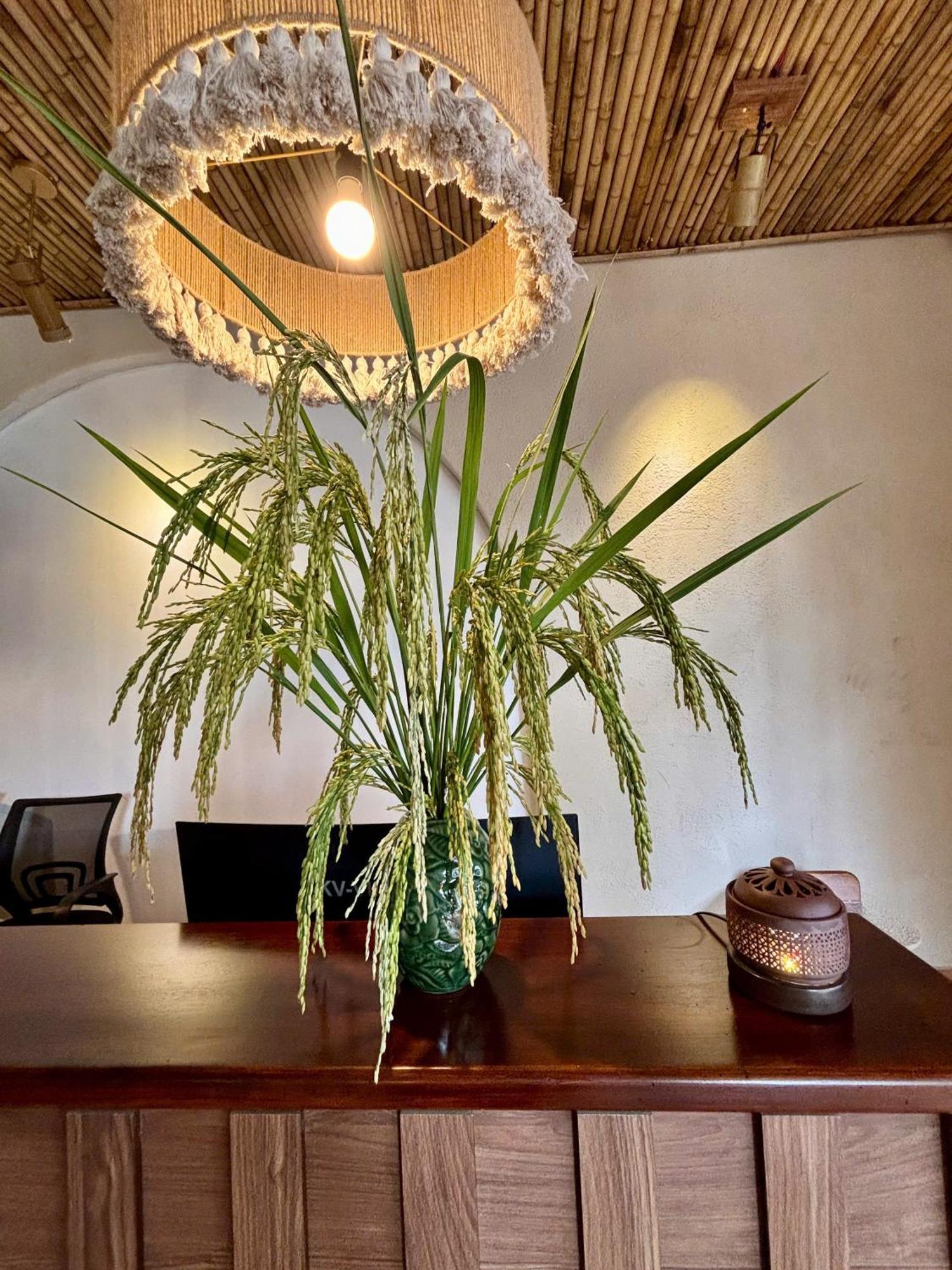 Truong Giang Boutique Hotel Lang Mon Exterior photo